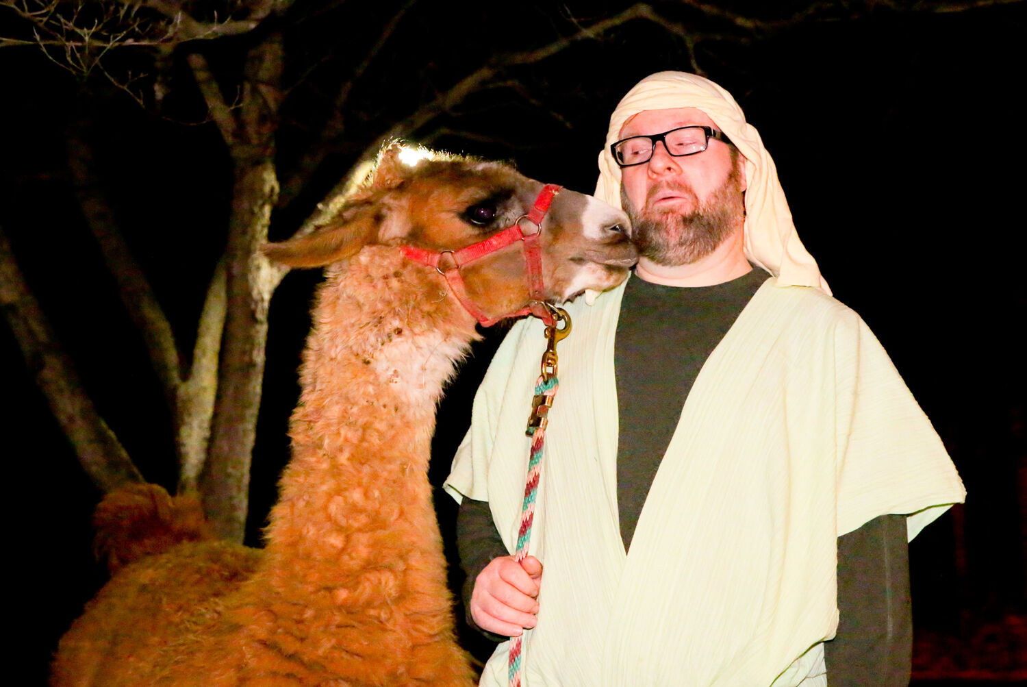 Live Nativity 8